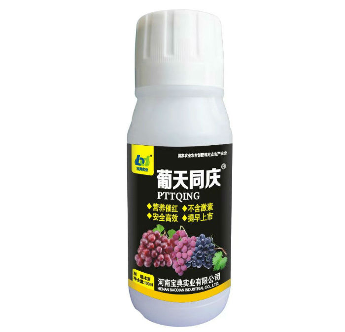 葡天同庆