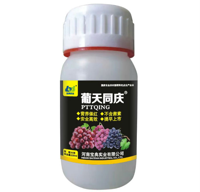 葡天同庆