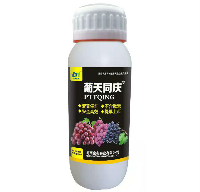 葡天同庆
