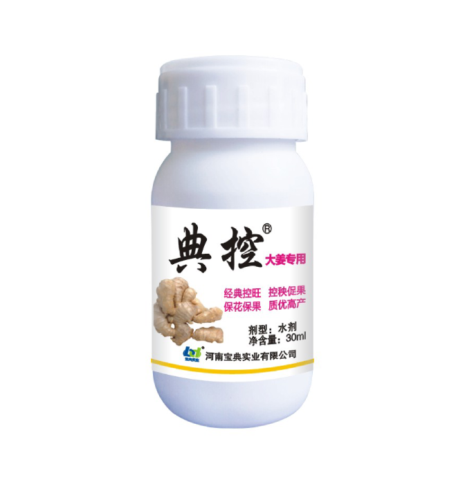 典控（大姜专用）