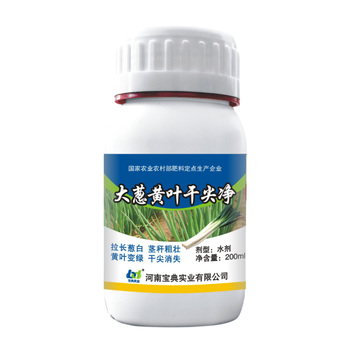大葱黄叶干尖净