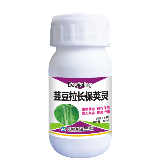芸豆拉长保荚灵
