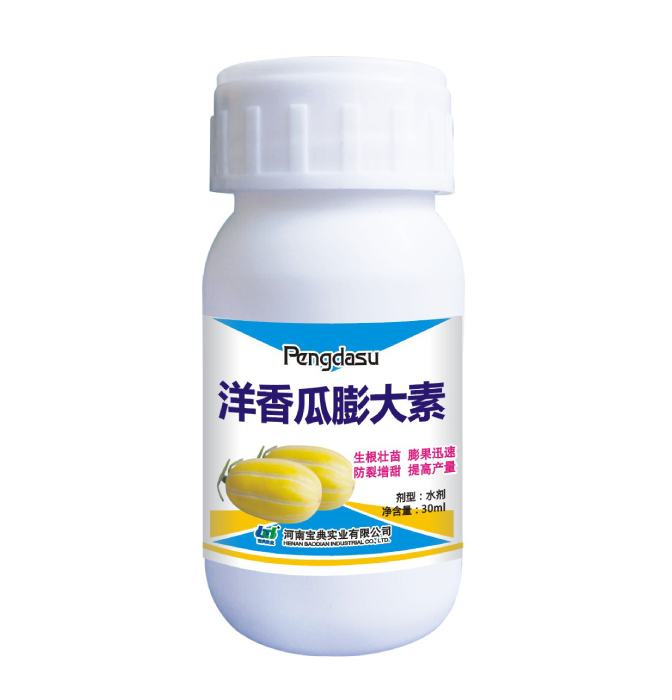 洋香瓜膨大素
