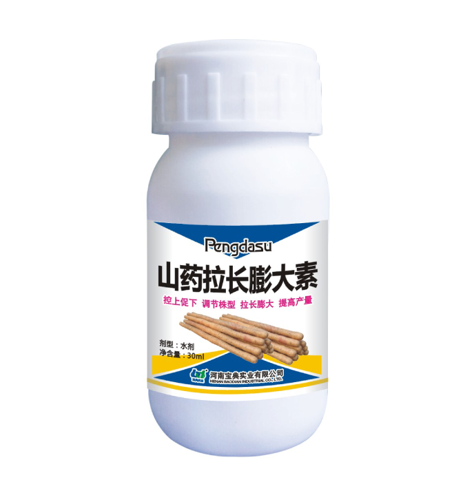 山药拉长膨大素