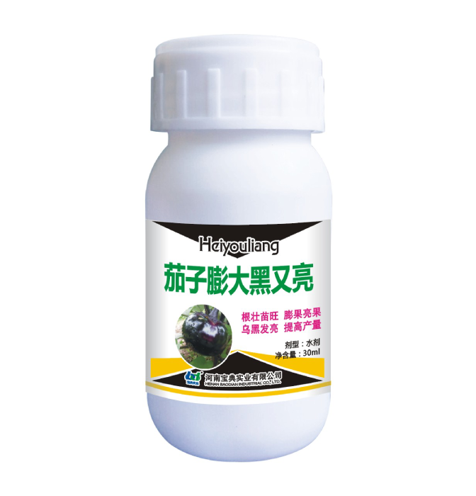 茄子膨大黑又亮