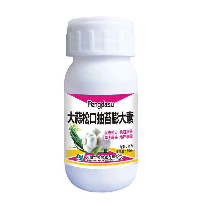 大蒜松口抽苔膨大素