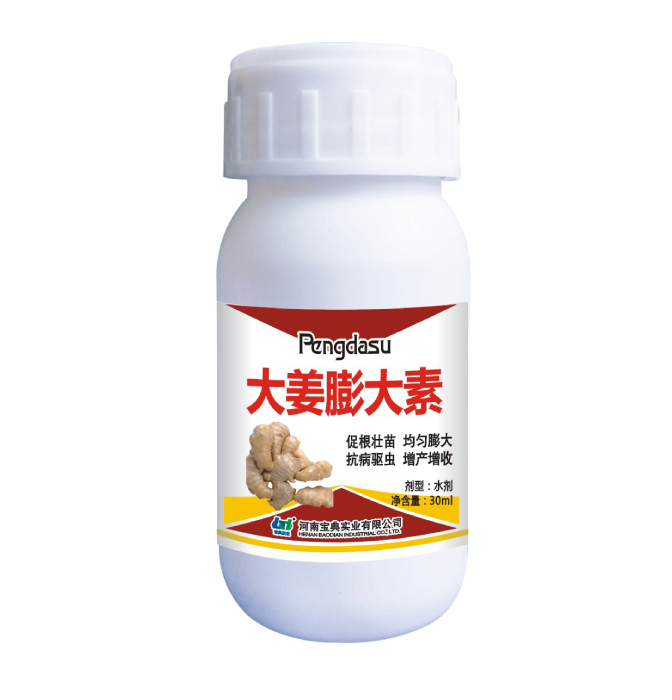 大姜膨大素