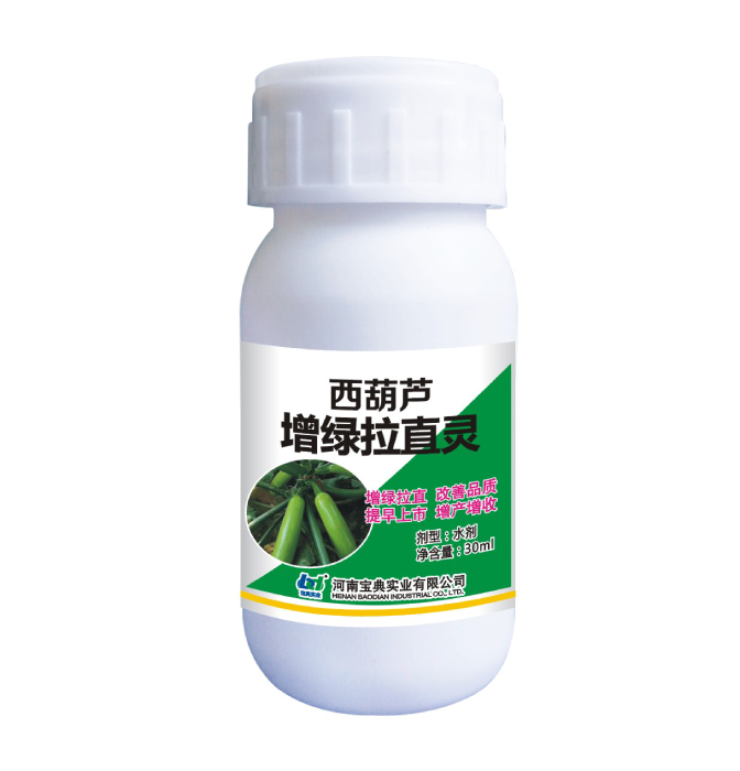 西葫芦增绿拉直灵