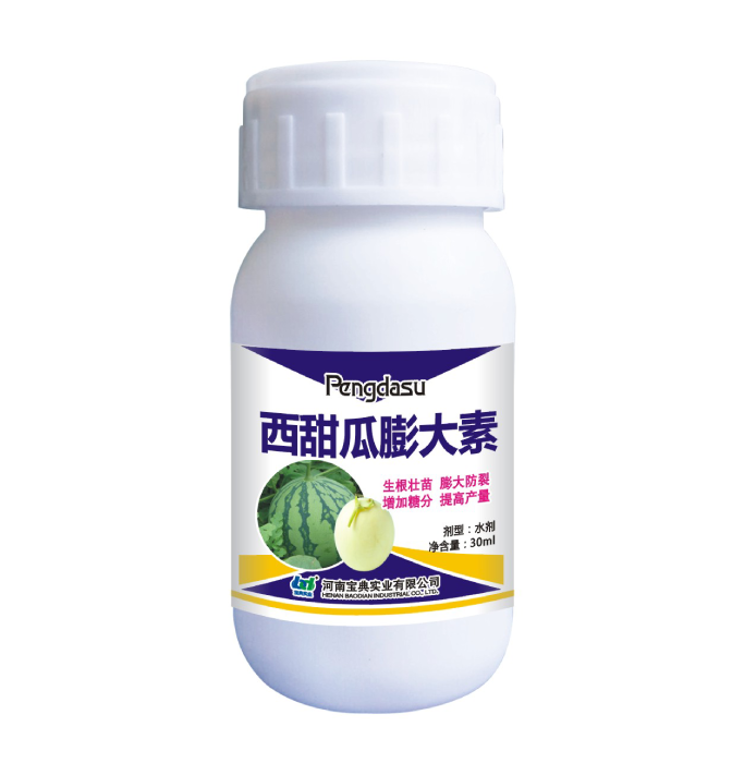 西甜瓜膨大素