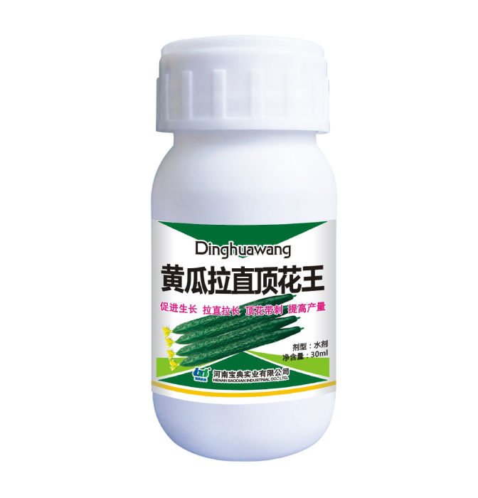 黄瓜拉直顶花王