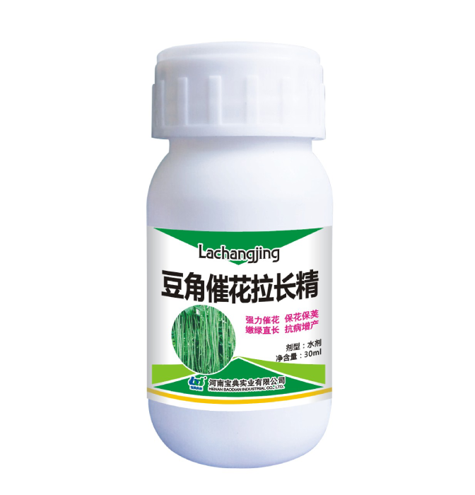 豆角催花拉长精