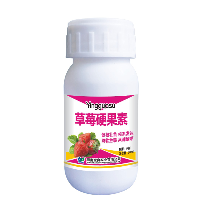 草莓硬果素