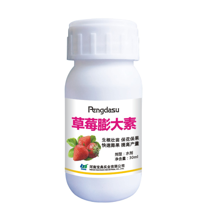 草莓膨大素
