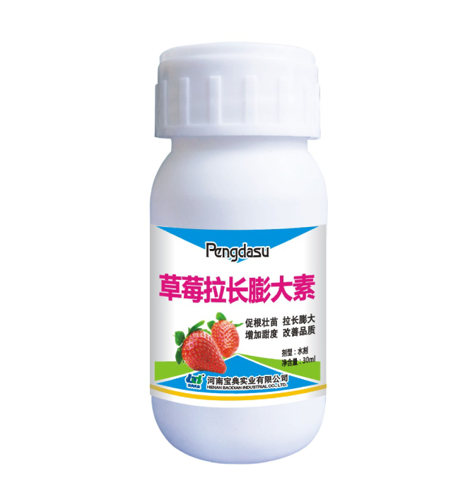 草莓拉长膨大素