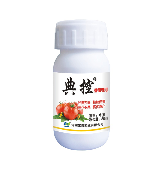 典控（番茄专用）