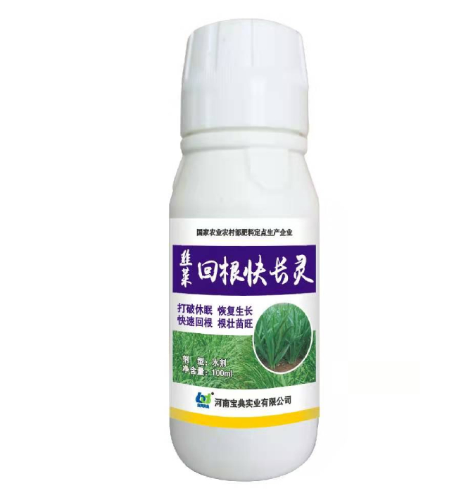 韭菜回根快长灵