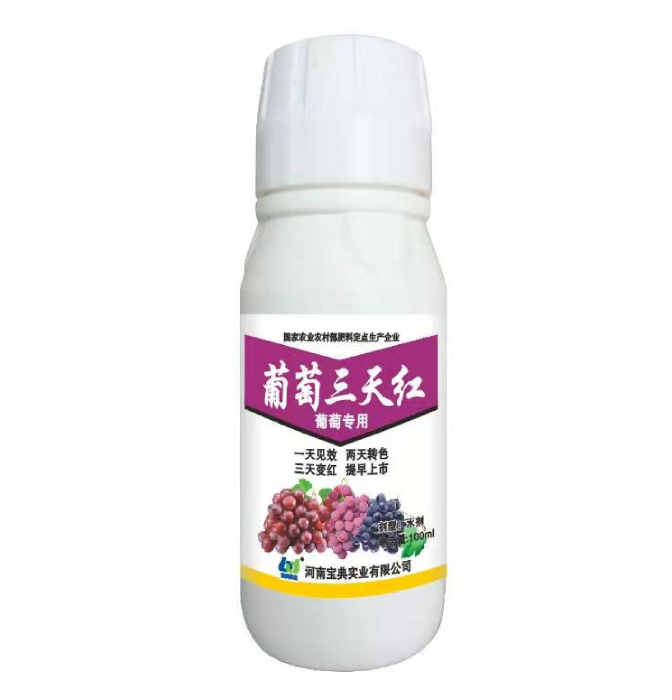 葡萄三天红