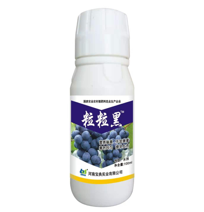 粒粒黑