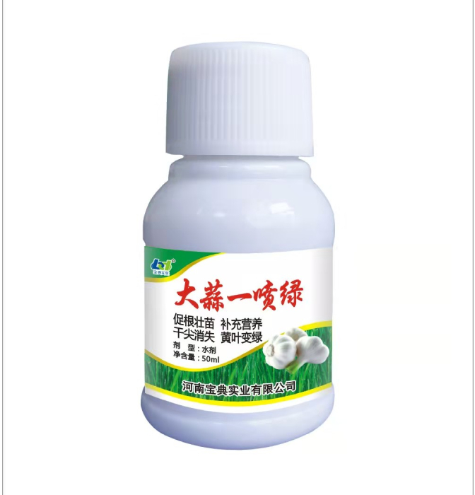 大蒜一喷绿